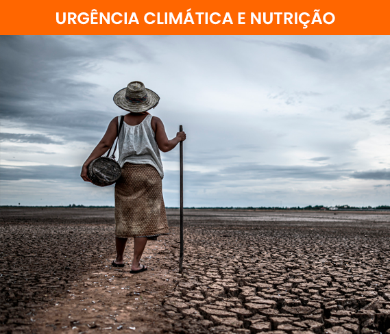 foto Terra Seca